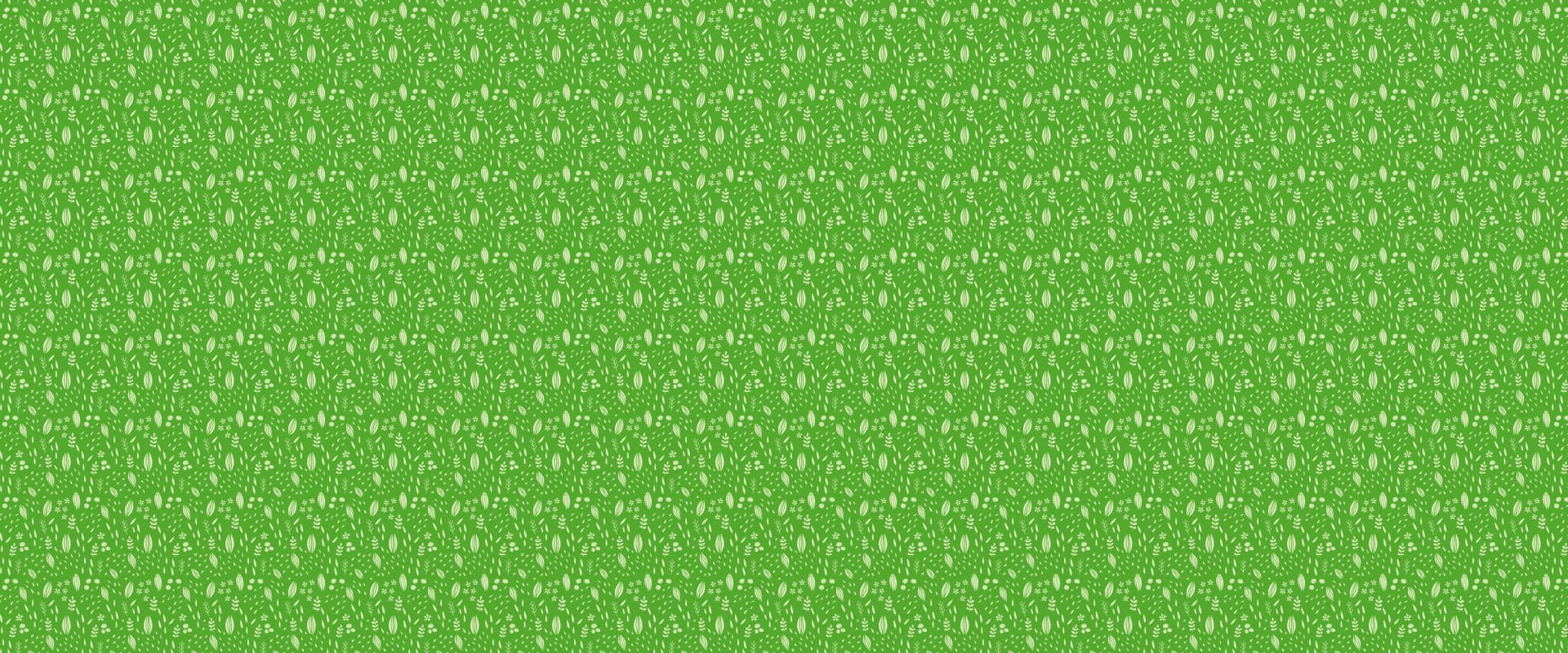 bg-slider-2